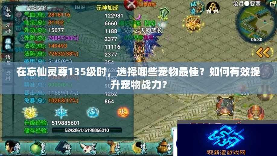 在忘仙灵尊135级时-选择哪些宠物最佳-如何有效提升宠物战力