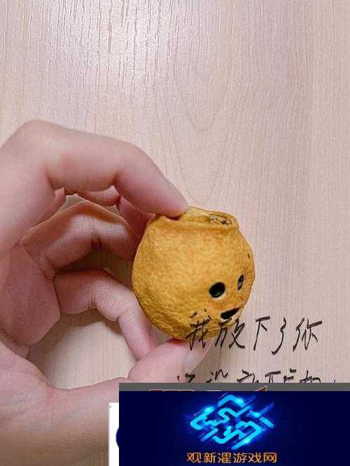 九一爽爽爽带来的别样欢乐体验