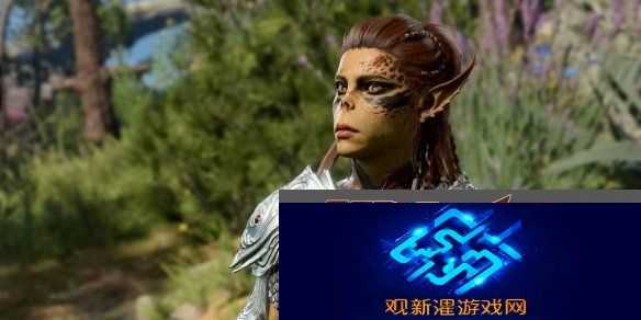 博德之门3总监驳单机消亡论|单机游戏需足够优秀
