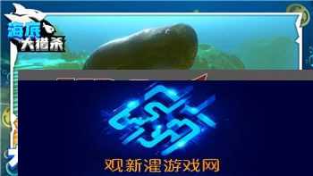上古卷轴捏脸预设导入技巧与优化心得，如何打造独特角色外观