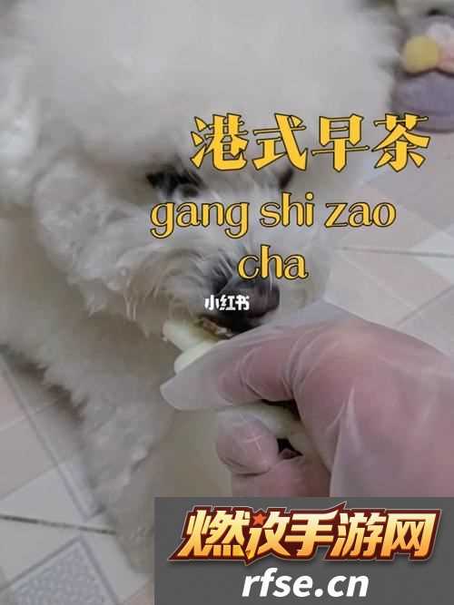 轻松掌握“狗与人胶配方20分钟”制作技巧